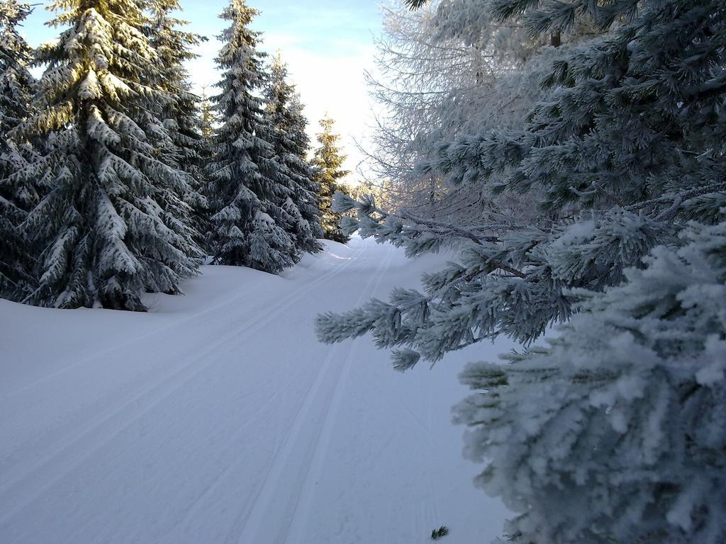 Landpension Wandersruh Langenberg  Экстерьер фото